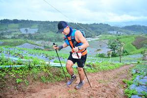 BIB: 
                            <button type="button" onclick="openModal(13378360)" class="btn btn-primary btn-sm float-right btn-popup" data-toggle="modal" data-target=".modal-high-quality">
                        <i class="fas fa-shopping-cart"></i> Add to Cart
                    </button>
                                            <button type="button" onclick="isThisMe(13378360, true)" class="btn btn-success btn-sm float-right btn-popup btn-isme hidden" data-toggle="tooltip" data-placement="bottom" title="นี่คือรูปของคุณใช่ไหม คลิกที่นี่เพื่อเอาเข้าอัลบั้ม">
                        <i class="fas fa-plus"></i> Add to album
                    </button>
                    <button type="button" onclick="isThisMe(13378360, false)" class="btn btn-warning btn-sm float-right btn-popup btn-isnotme hidden">
                        <i class="fas fa-ban"></i> Remove from album
                    </button>